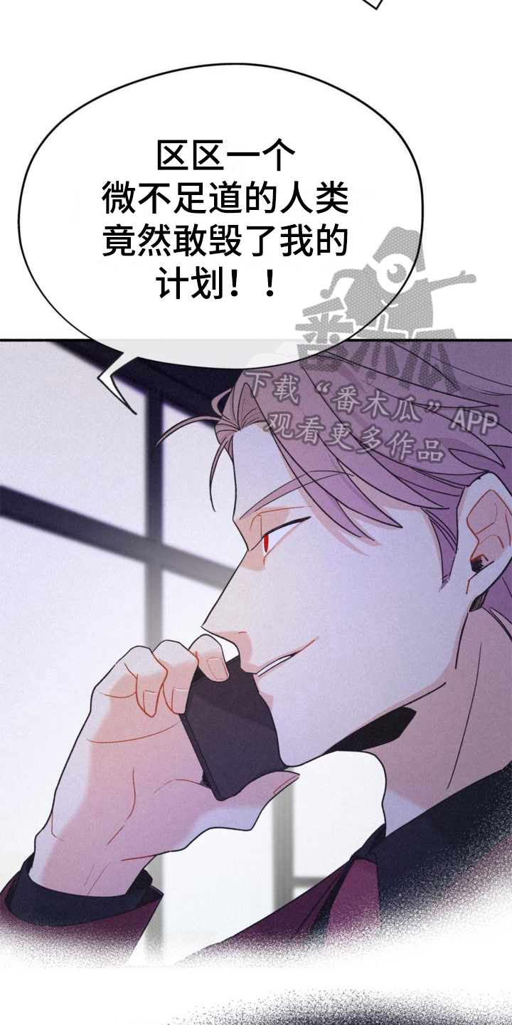 《归还》漫画最新章节第13章：安排免费下拉式在线观看章节第【3】张图片