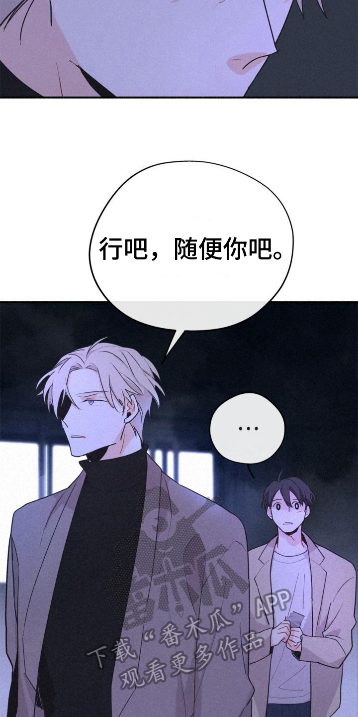 《归还》漫画最新章节第13章：安排免费下拉式在线观看章节第【11】张图片