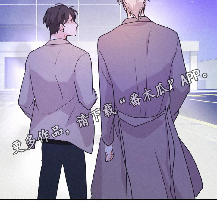 《归还》漫画最新章节第13章：安排免费下拉式在线观看章节第【1】张图片