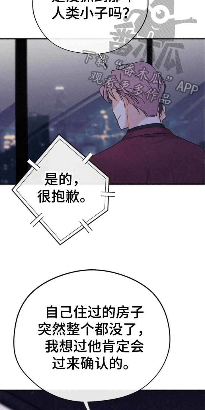 《归还》漫画最新章节第13章：安排免费下拉式在线观看章节第【6】张图片