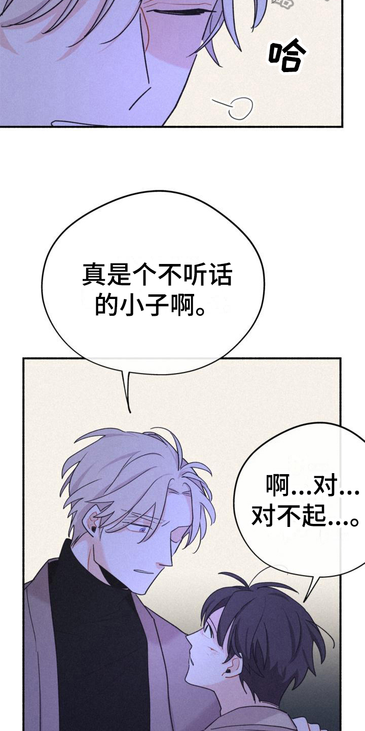 《归还》漫画最新章节第13章：安排免费下拉式在线观看章节第【13】张图片