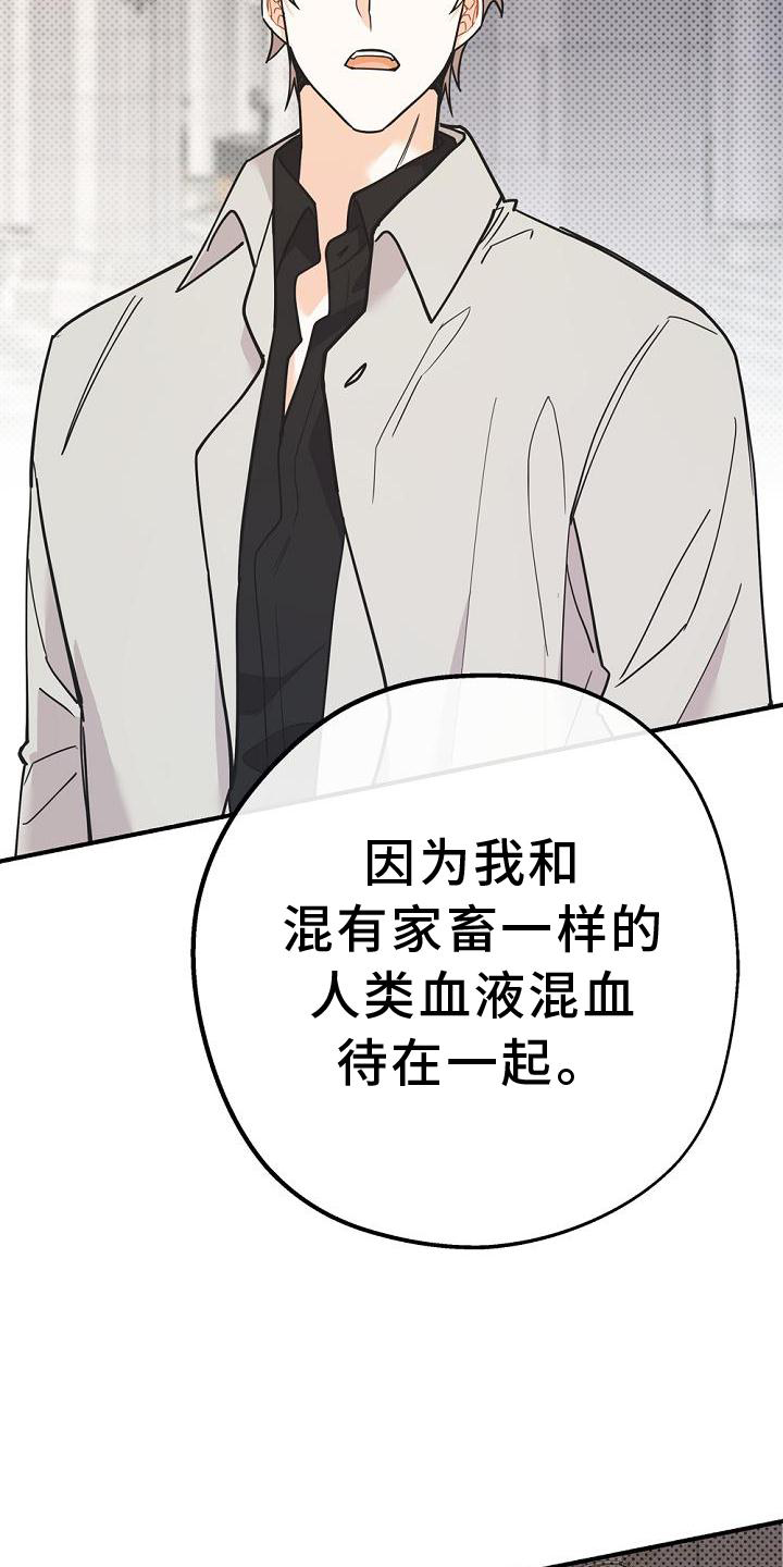 《归还》漫画最新章节第33章：暗杀免费下拉式在线观看章节第【20】张图片