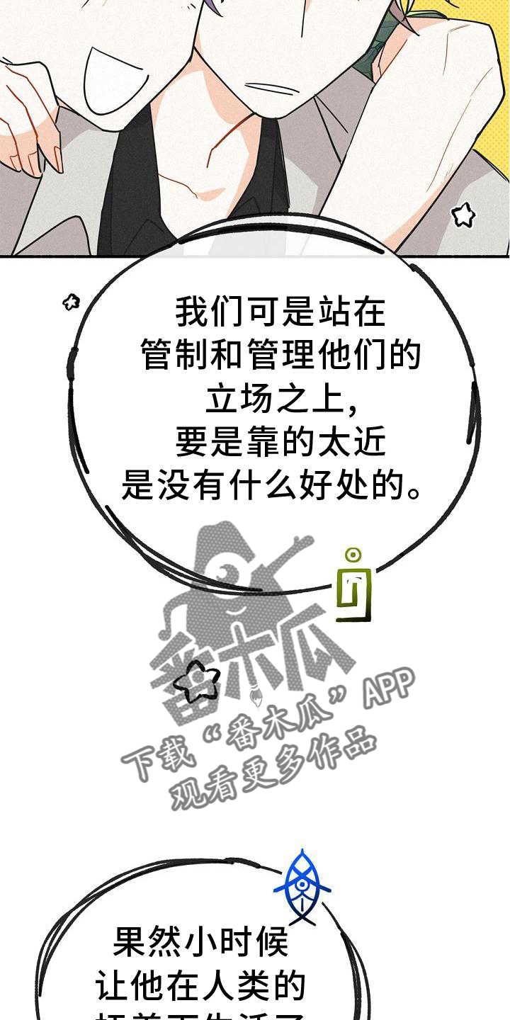 《归还》漫画最新章节第33章：暗杀免费下拉式在线观看章节第【10】张图片