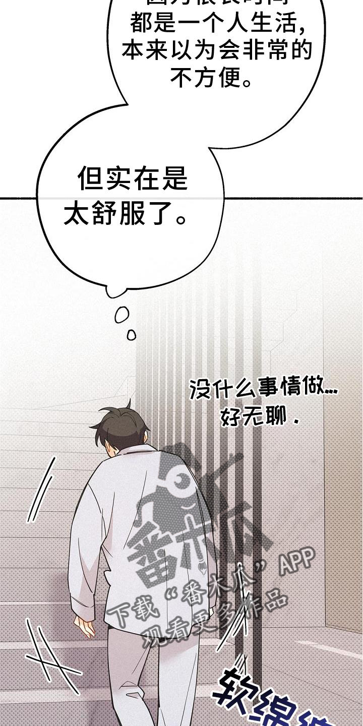 《归还》漫画最新章节第34章：那个男人免费下拉式在线观看章节第【16】张图片