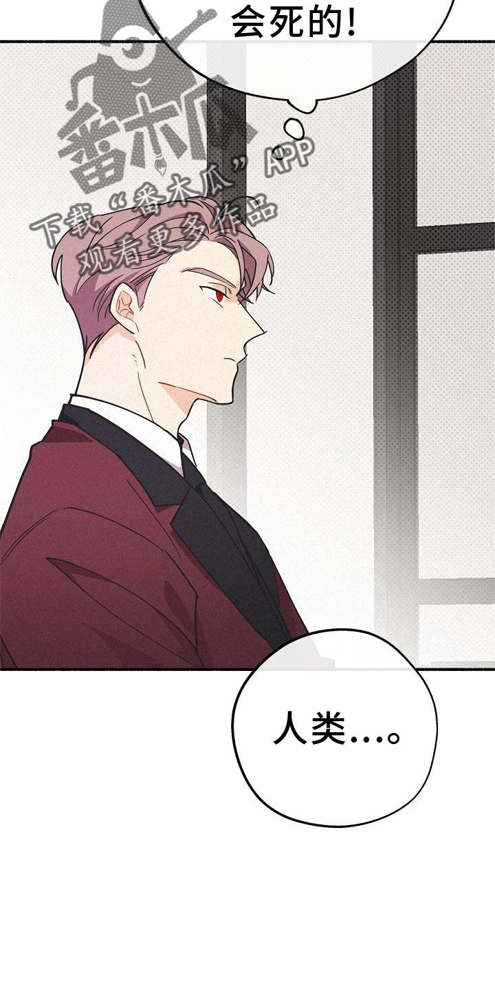 《归还》漫画最新章节第36章：混血免费下拉式在线观看章节第【4】张图片