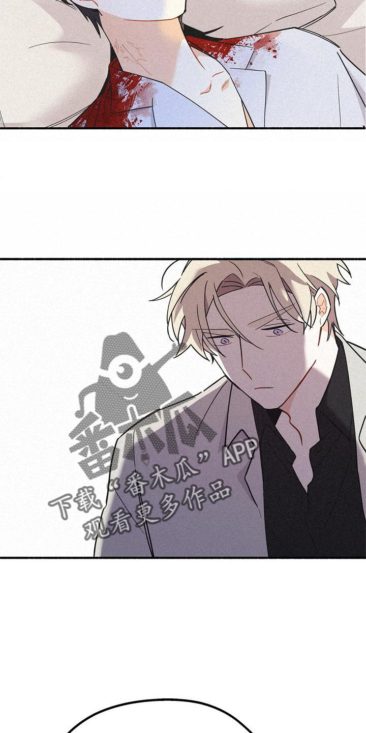 《归还》漫画最新章节第36章：混血免费下拉式在线观看章节第【11】张图片