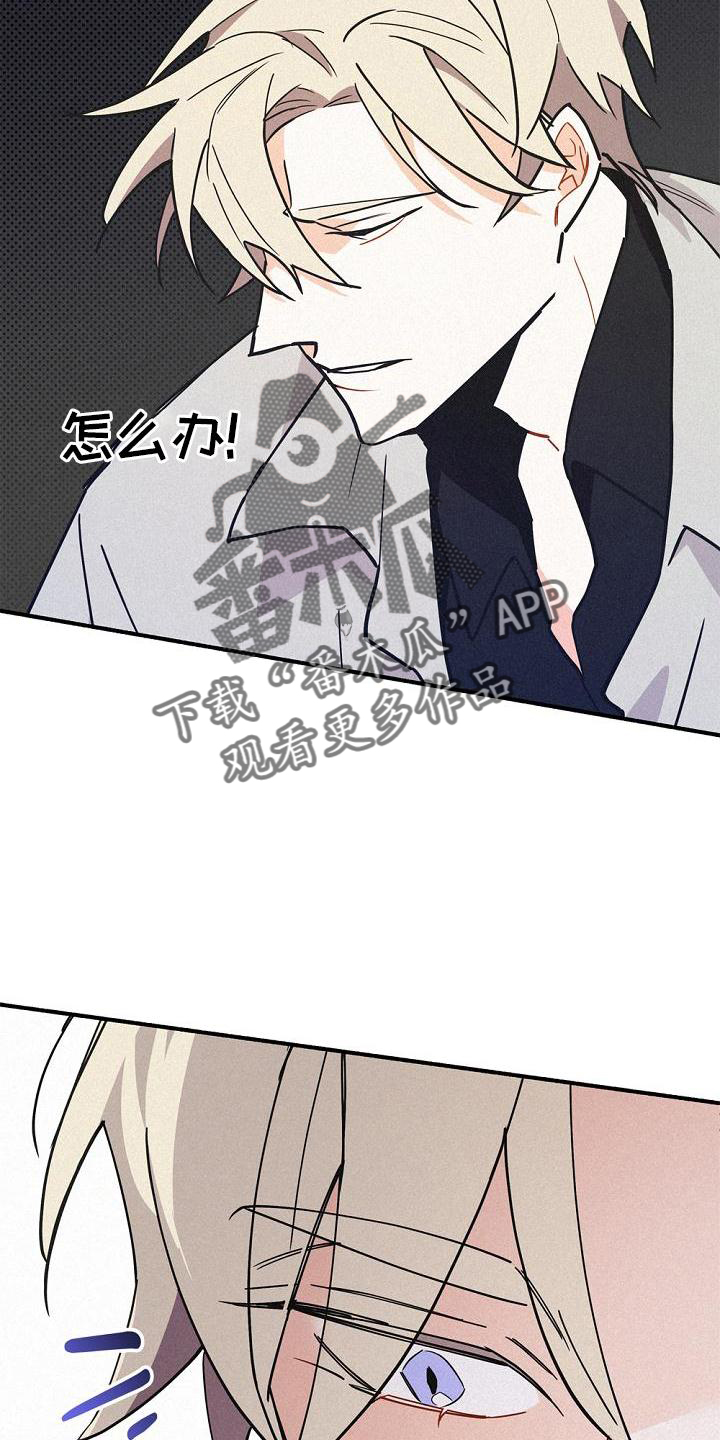 《归还》漫画最新章节第36章：混血免费下拉式在线观看章节第【19】张图片