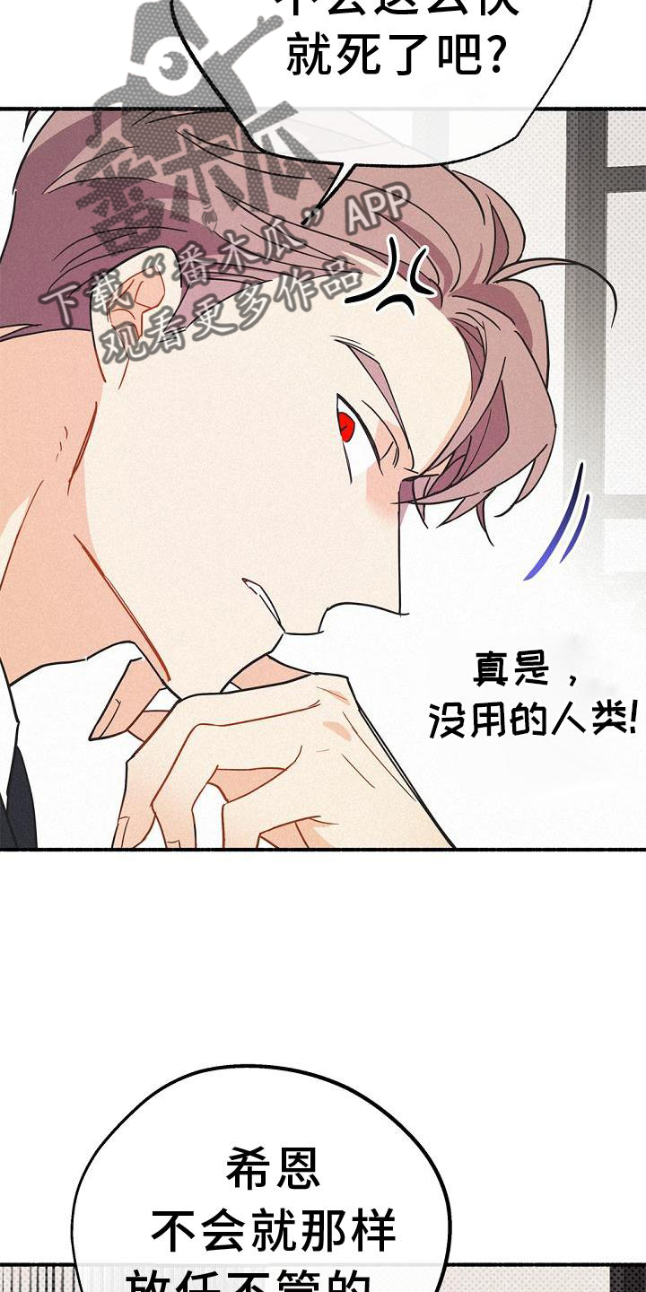 《归还》漫画最新章节第36章：混血免费下拉式在线观看章节第【7】张图片