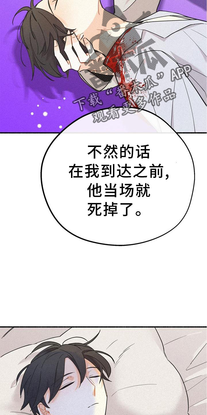 《归还》漫画最新章节第36章：混血免费下拉式在线观看章节第【12】张图片