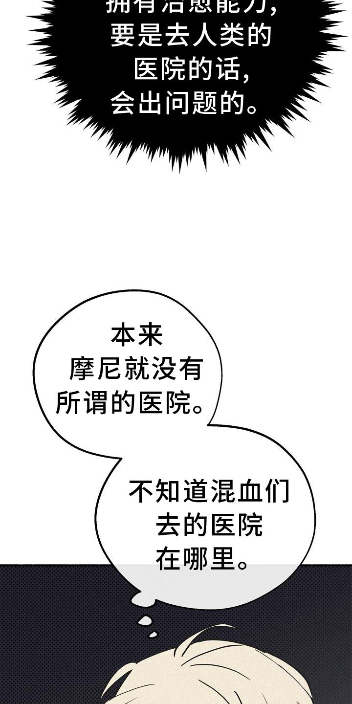 《归还》漫画最新章节第36章：混血免费下拉式在线观看章节第【20】张图片