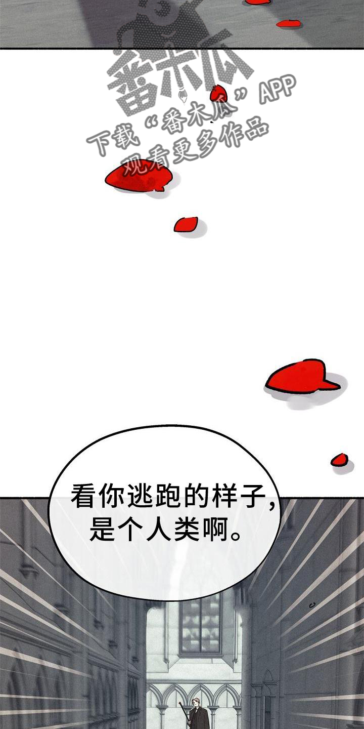 《归还》漫画最新章节第38章：拯救免费下拉式在线观看章节第【17】张图片