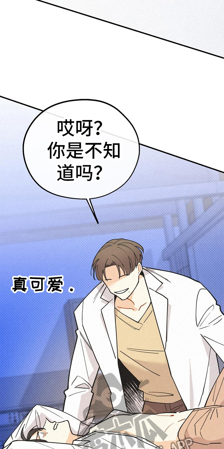 《归还》漫画最新章节第42章：研究免费下拉式在线观看章节第【15】张图片