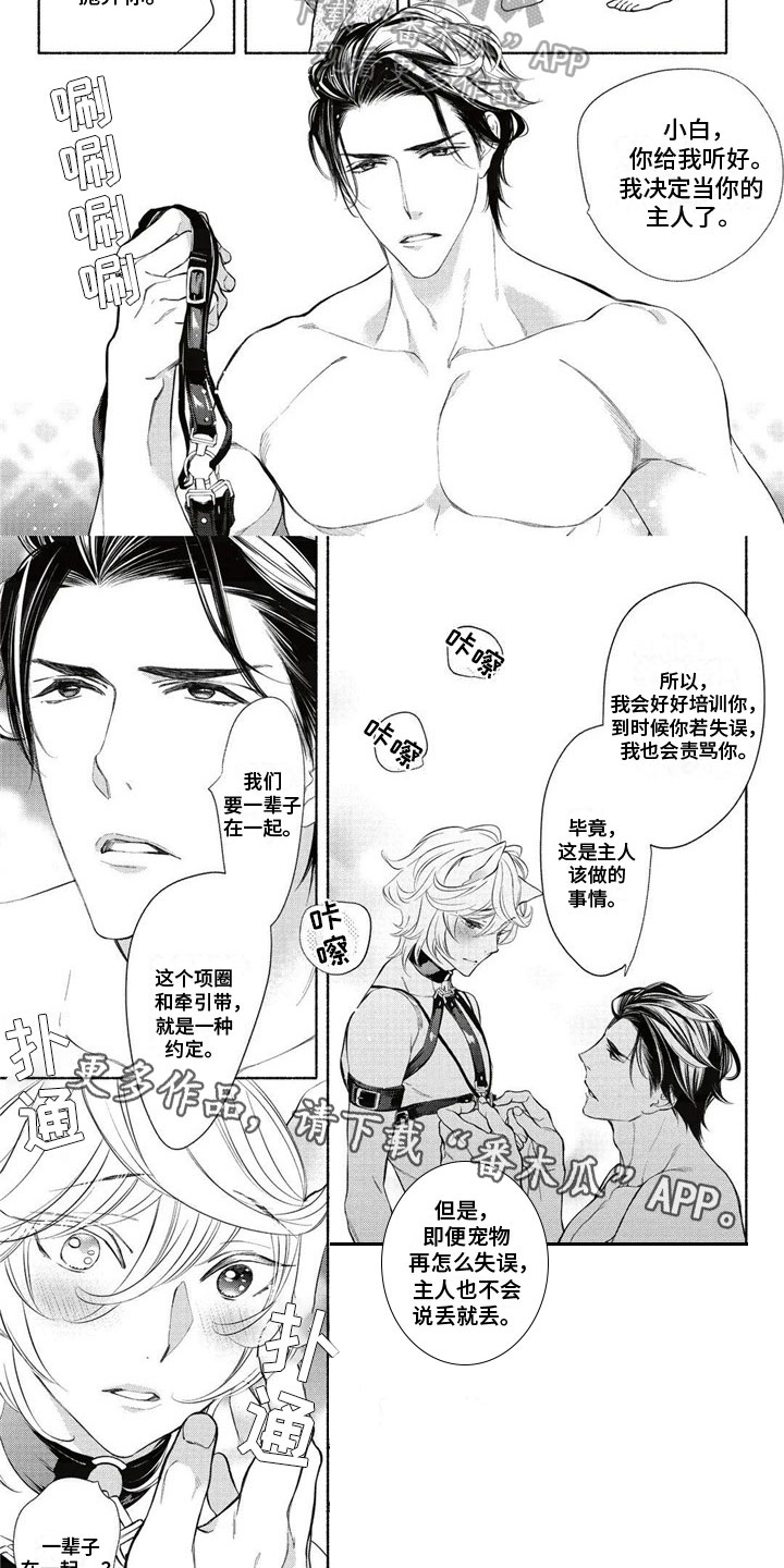 《猫猫小白》漫画最新章节第4章：约定免费下拉式在线观看章节第【2】张图片