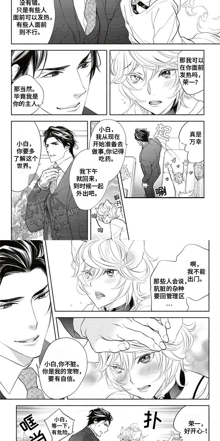 《猫猫小白》漫画最新章节第5章：教育免费下拉式在线观看章节第【3】张图片