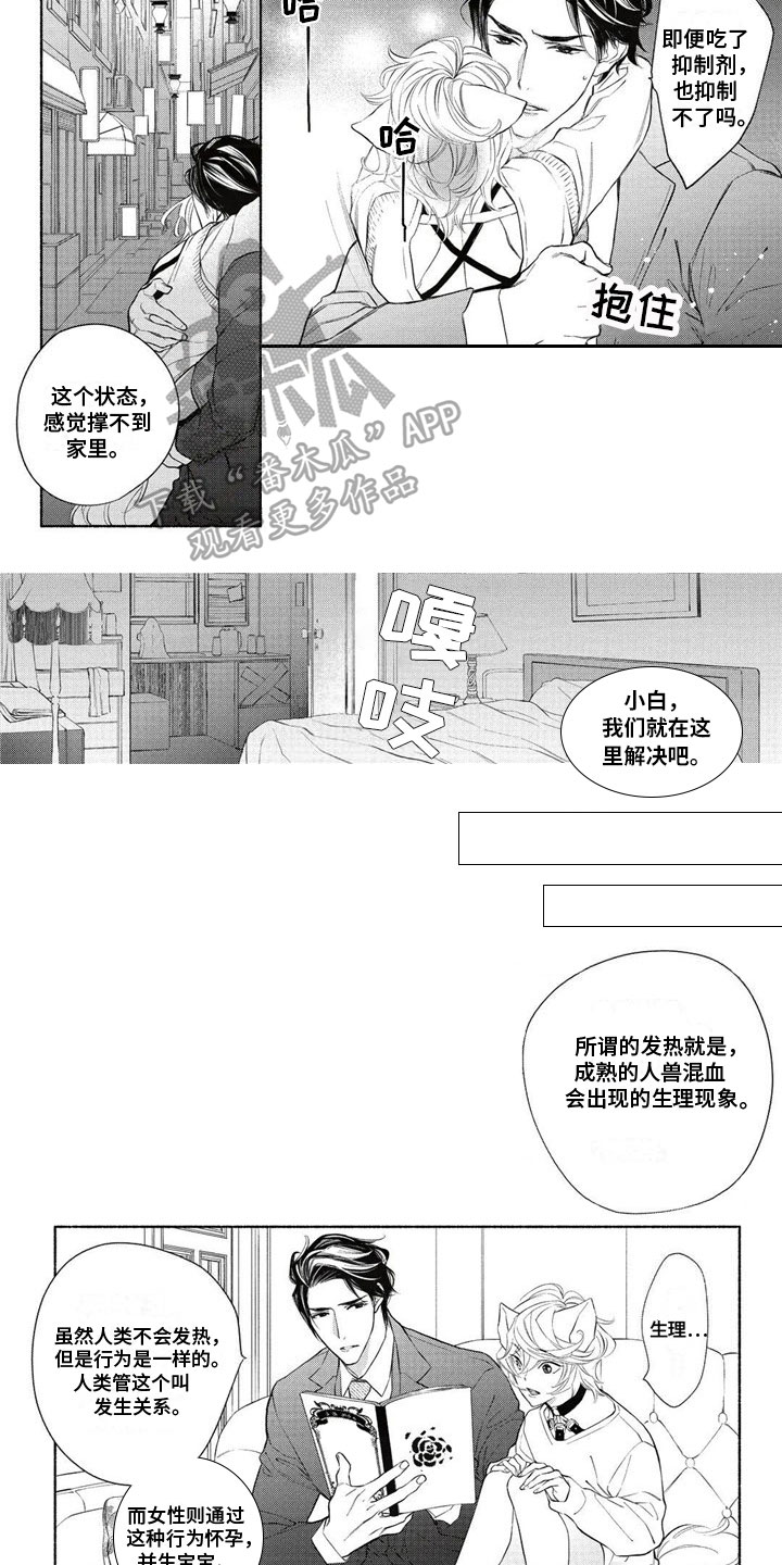 《猫猫小白》漫画最新章节第7章：要挟免费下拉式在线观看章节第【5】张图片