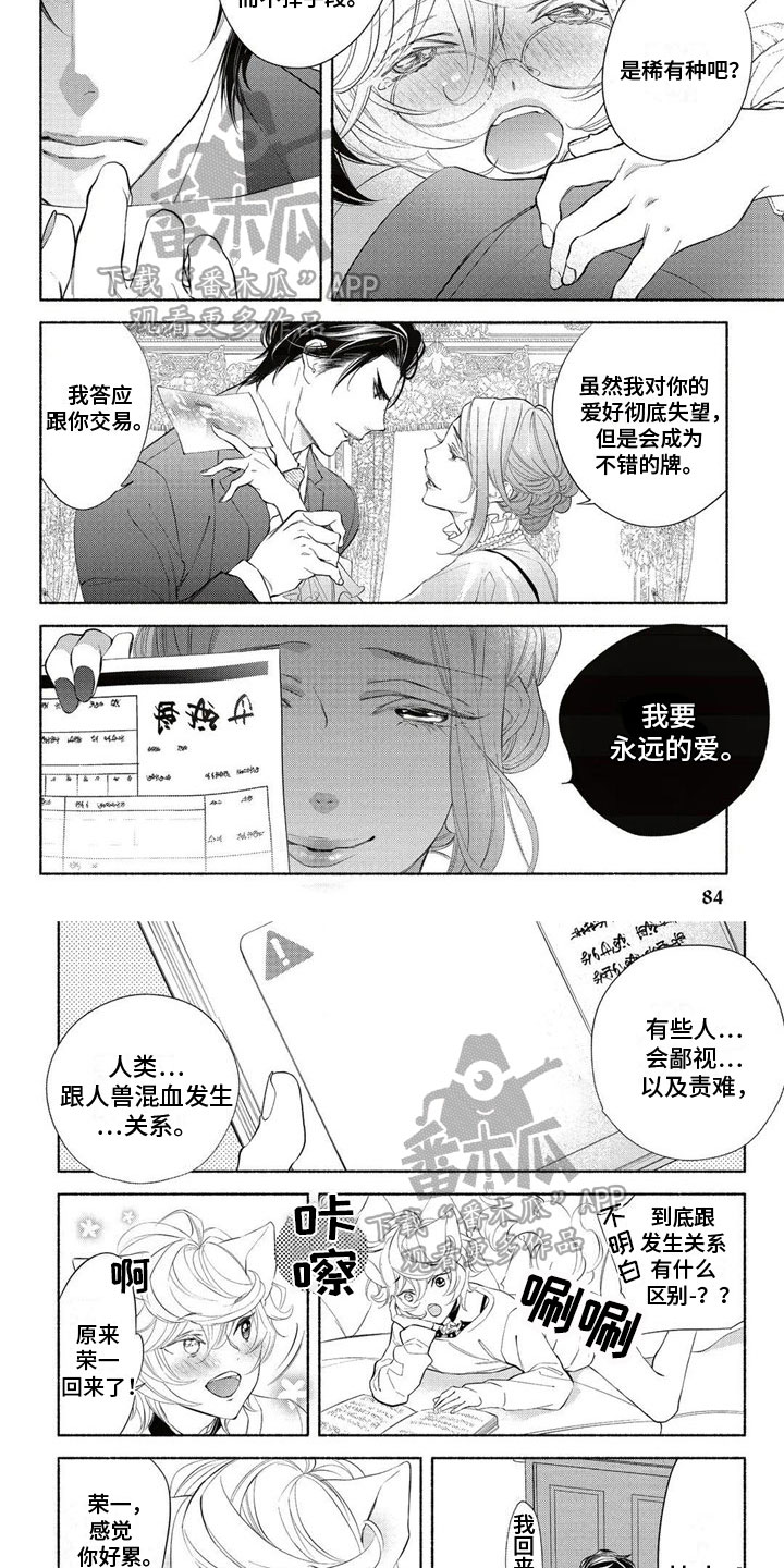 《猫猫小白》漫画最新章节第8章：阴谋免费下拉式在线观看章节第【5】张图片