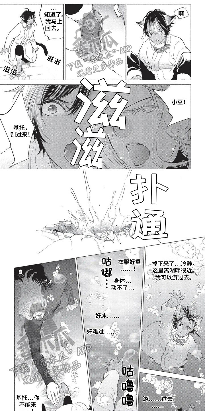 《猫猫小白》漫画最新章节第23章：万幸免费下拉式在线观看章节第【6】张图片