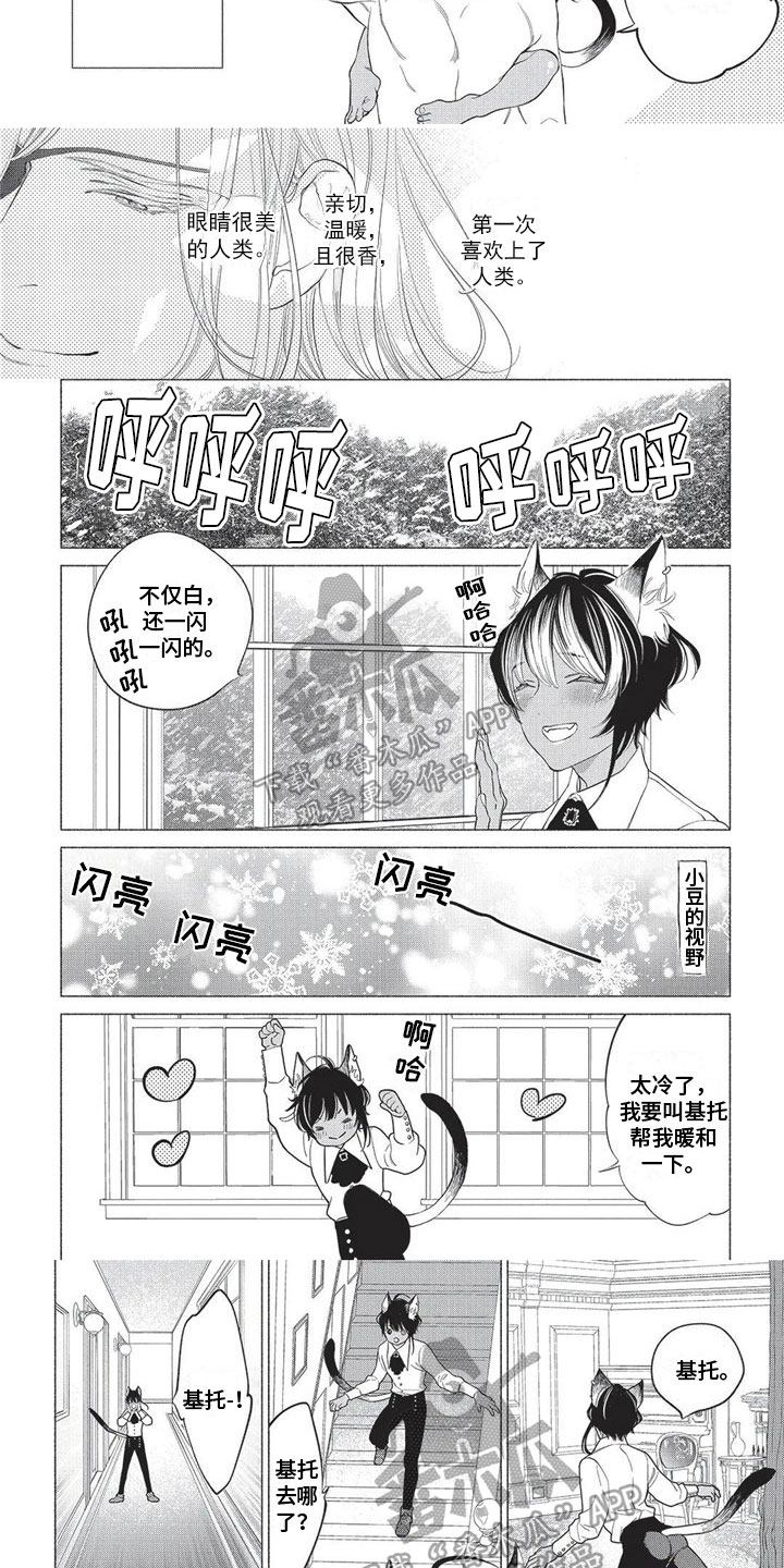 《猫猫小白》漫画最新章节第24章：怀疑免费下拉式在线观看章节第【4】张图片