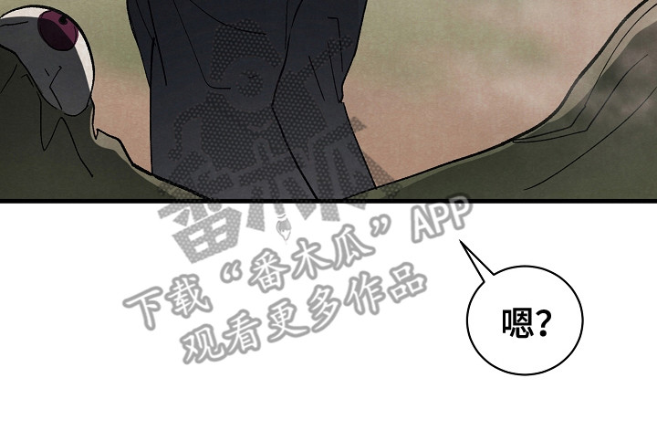 《黎明前夕》漫画最新章节第8章：闯祸免费下拉式在线观看章节第【1】张图片