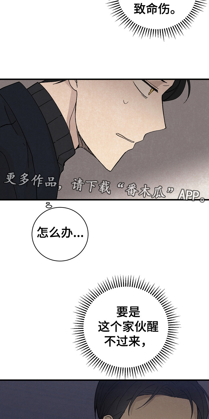 《黎明前夕》漫画最新章节第10章：治疗免费下拉式在线观看章节第【17】张图片