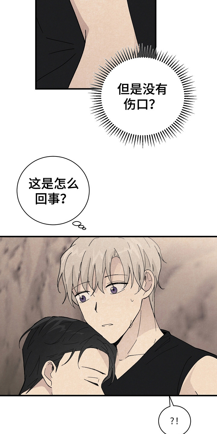 《黎明前夕》漫画最新章节第11章：匹配度免费下拉式在线观看章节第【17】张图片