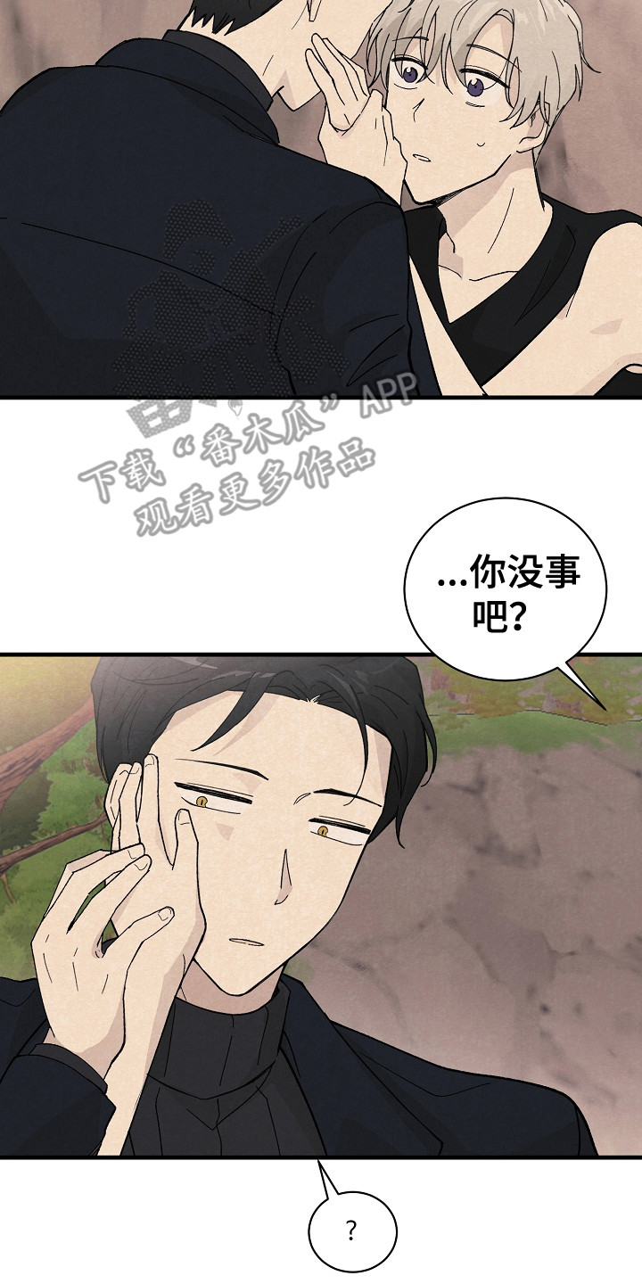 《黎明前夕》漫画最新章节第11章：匹配度免费下拉式在线观看章节第【12】张图片