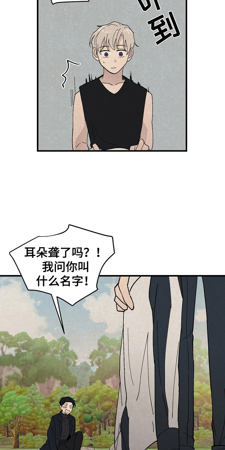 《黎明前夕》漫画最新章节第12章：同行免费下拉式在线观看章节第【12】张图片