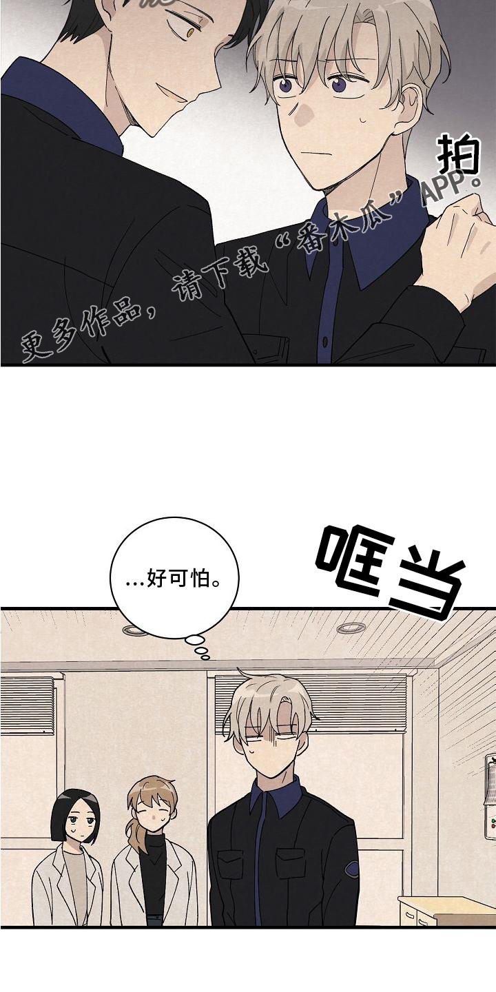 《黎明前夕》漫画最新章节第23章：匹配免费下拉式在线观看章节第【13】张图片