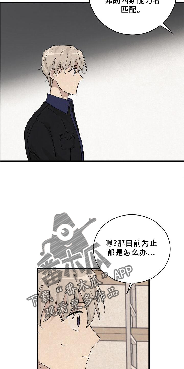 《黎明前夕》漫画最新章节第23章：匹配免费下拉式在线观看章节第【5】张图片