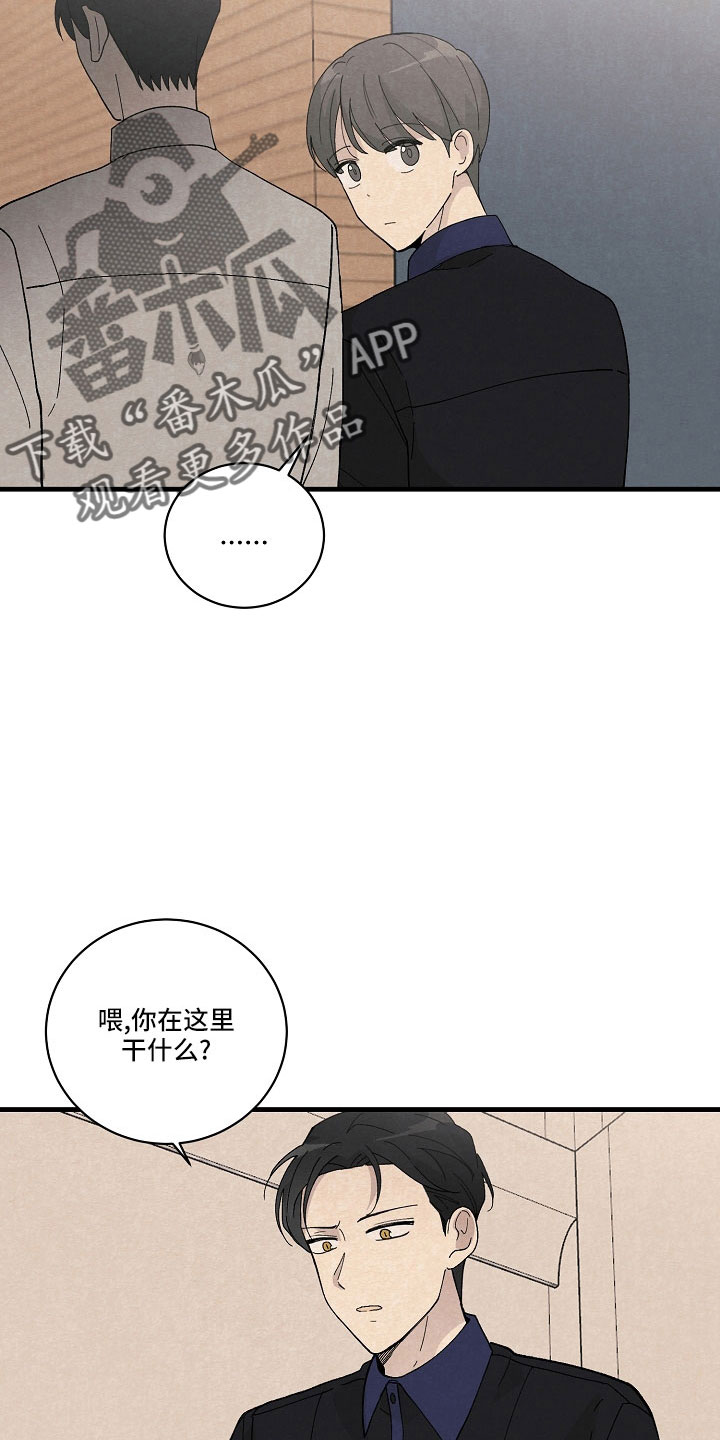 《黎明前夕》漫画最新章节第26章：笨蛋一样免费下拉式在线观看章节第【5】张图片