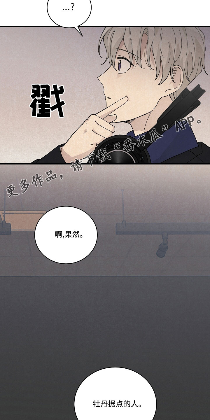 《黎明前夕》漫画最新章节第26章：笨蛋一样免费下拉式在线观看章节第【15】张图片