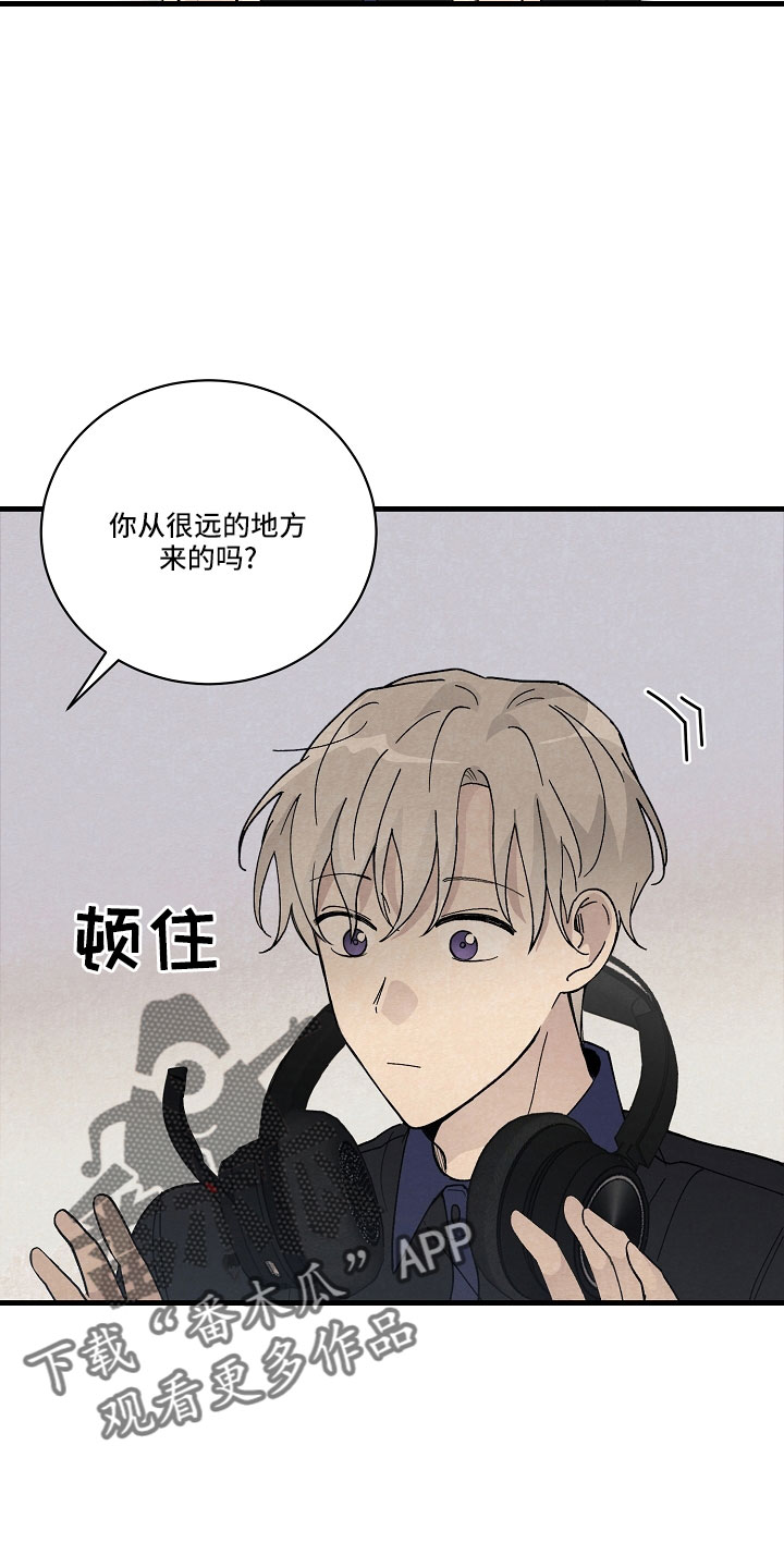 《黎明前夕》漫画最新章节第26章：笨蛋一样免费下拉式在线观看章节第【17】张图片