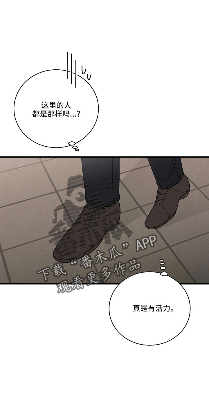 《黎明前夕》漫画最新章节第26章：笨蛋一样免费下拉式在线观看章节第【31】张图片