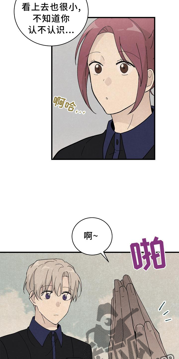 《黎明前夕》漫画最新章节第28章：交代免费下拉式在线观看章节第【9】张图片