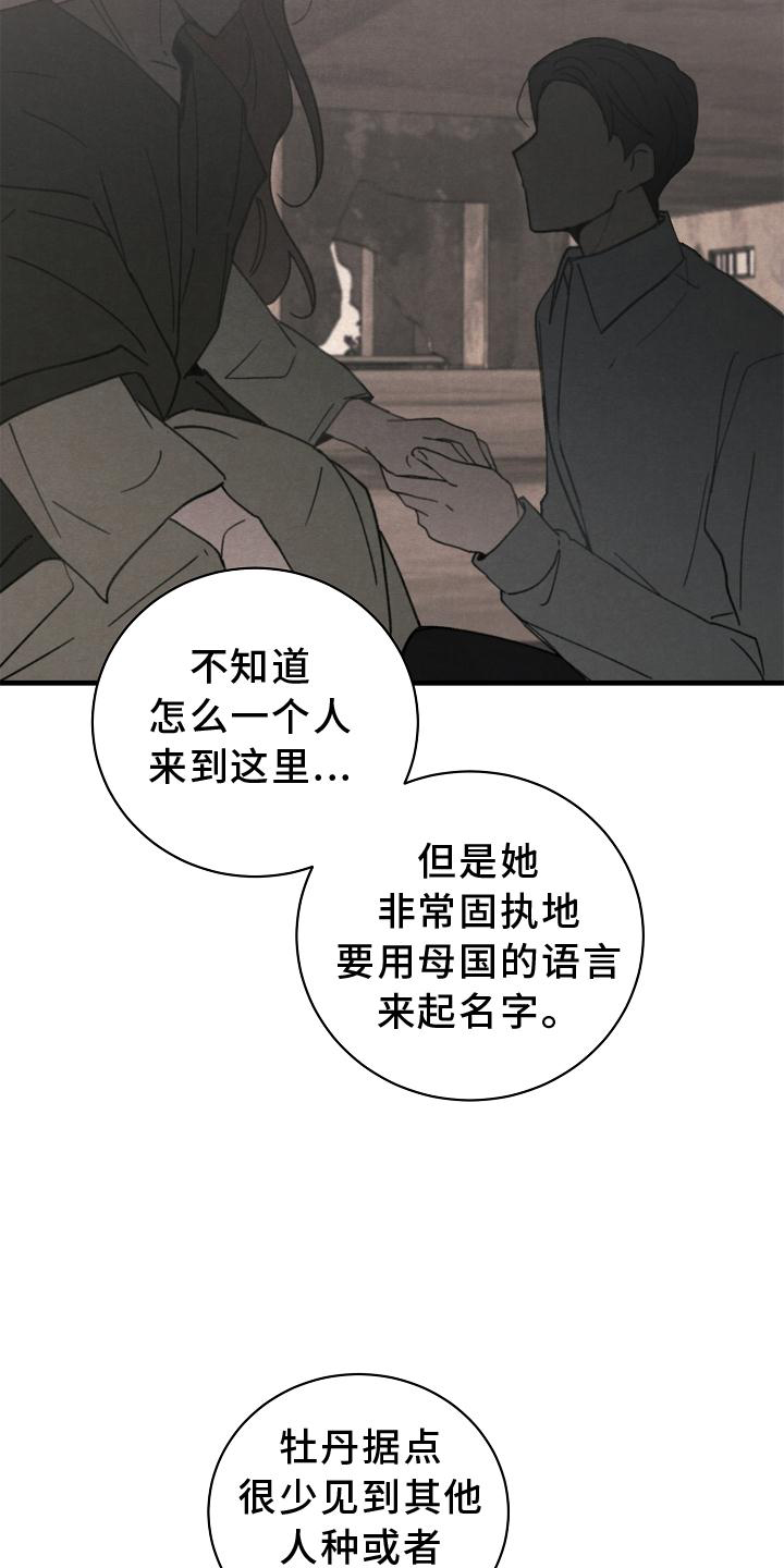 《黎明前夕》漫画最新章节第28章：交代免费下拉式在线观看章节第【15】张图片