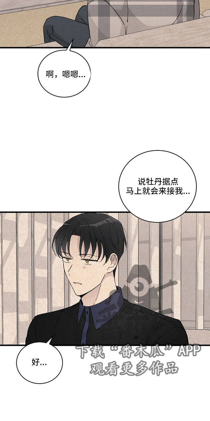 《黎明前夕》漫画最新章节第39章：回答我免费下拉式在线观看章节第【7】张图片