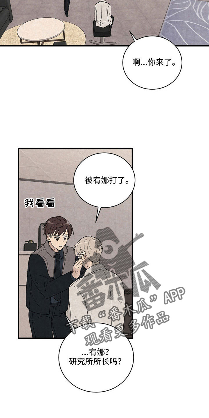 《黎明前夕》漫画最新章节第42章：我代替他免费下拉式在线观看章节第【7】张图片