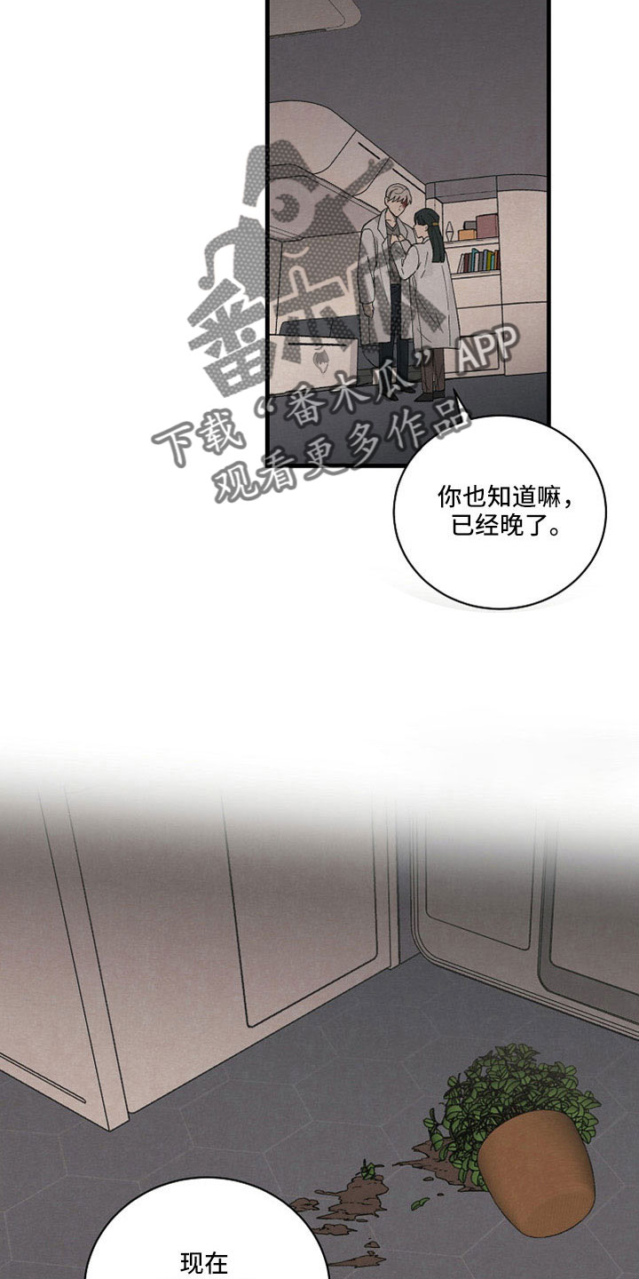 《黎明前夕》漫画最新章节第42章：我代替他免费下拉式在线观看章节第【11】张图片