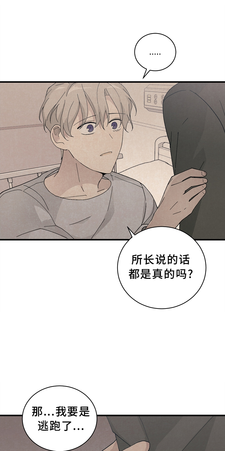 《黎明前夕》漫画最新章节第62章：确认免费下拉式在线观看章节第【3】张图片