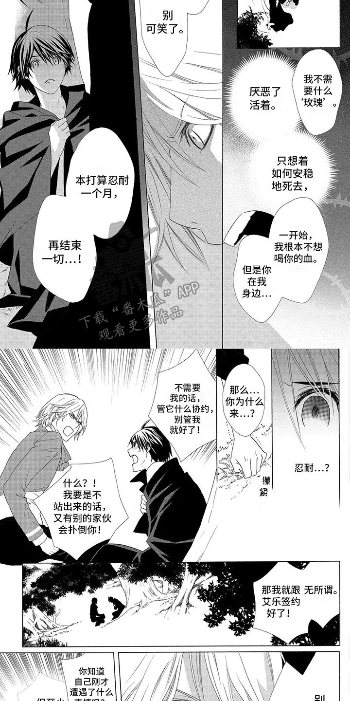 《挑食的吸血鬼》漫画最新章节第20章：福音玫瑰免费下拉式在线观看章节第【2】张图片