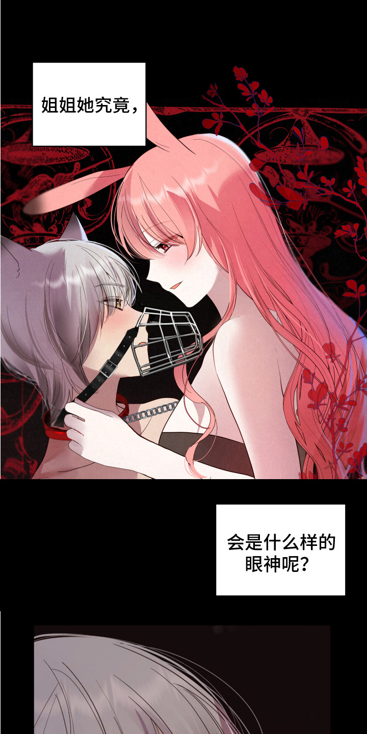 《兔兔捕食记》漫画最新章节第6章：癖好免费下拉式在线观看章节第【5】张图片