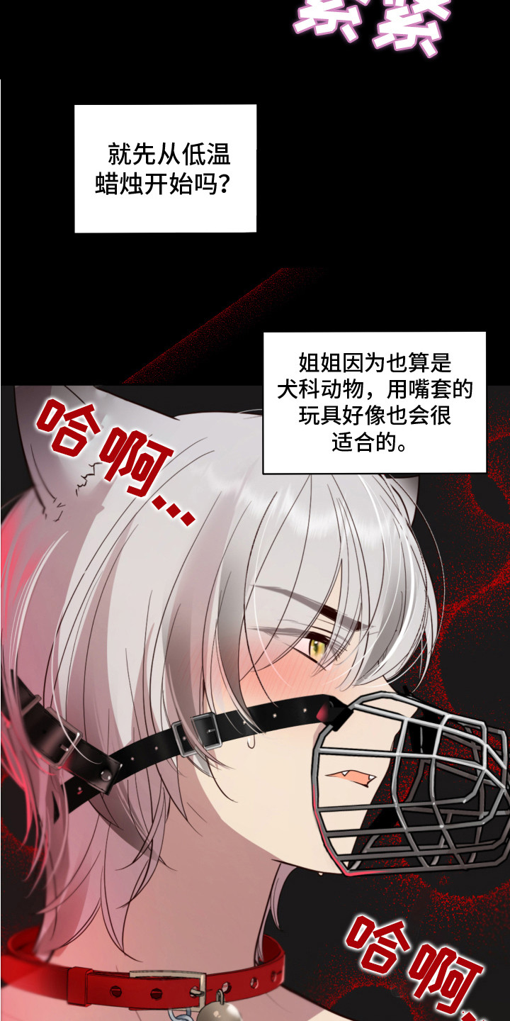 《兔兔捕食记》漫画最新章节第6章：癖好免费下拉式在线观看章节第【7】张图片