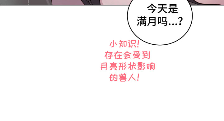 《兔兔捕食记》漫画最新章节第8章：小玩笑 免费下拉式在线观看章节第【1】张图片