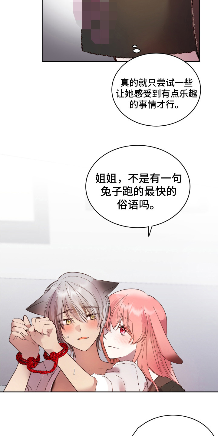 《兔兔捕食记》漫画最新章节第11章：试试看 免费下拉式在线观看章节第【2】张图片