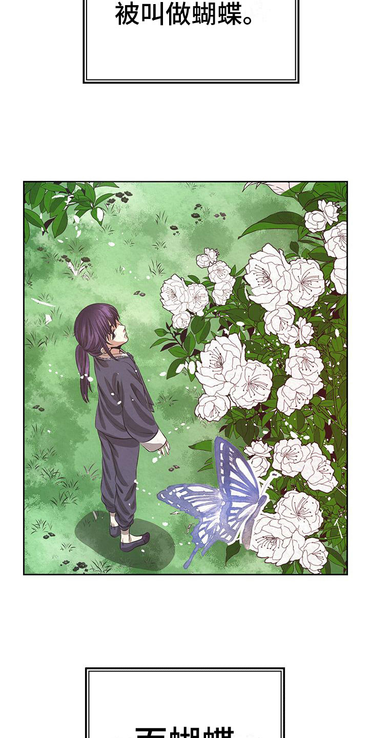 《花与蝶》漫画最新章节第7章：花与蝴蝶免费下拉式在线观看章节第【16】张图片