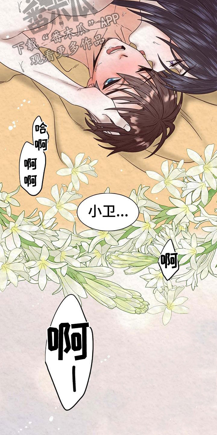 《花与蝶》漫画最新章节第24章：知道你心意免费下拉式在线观看章节第【18】张图片