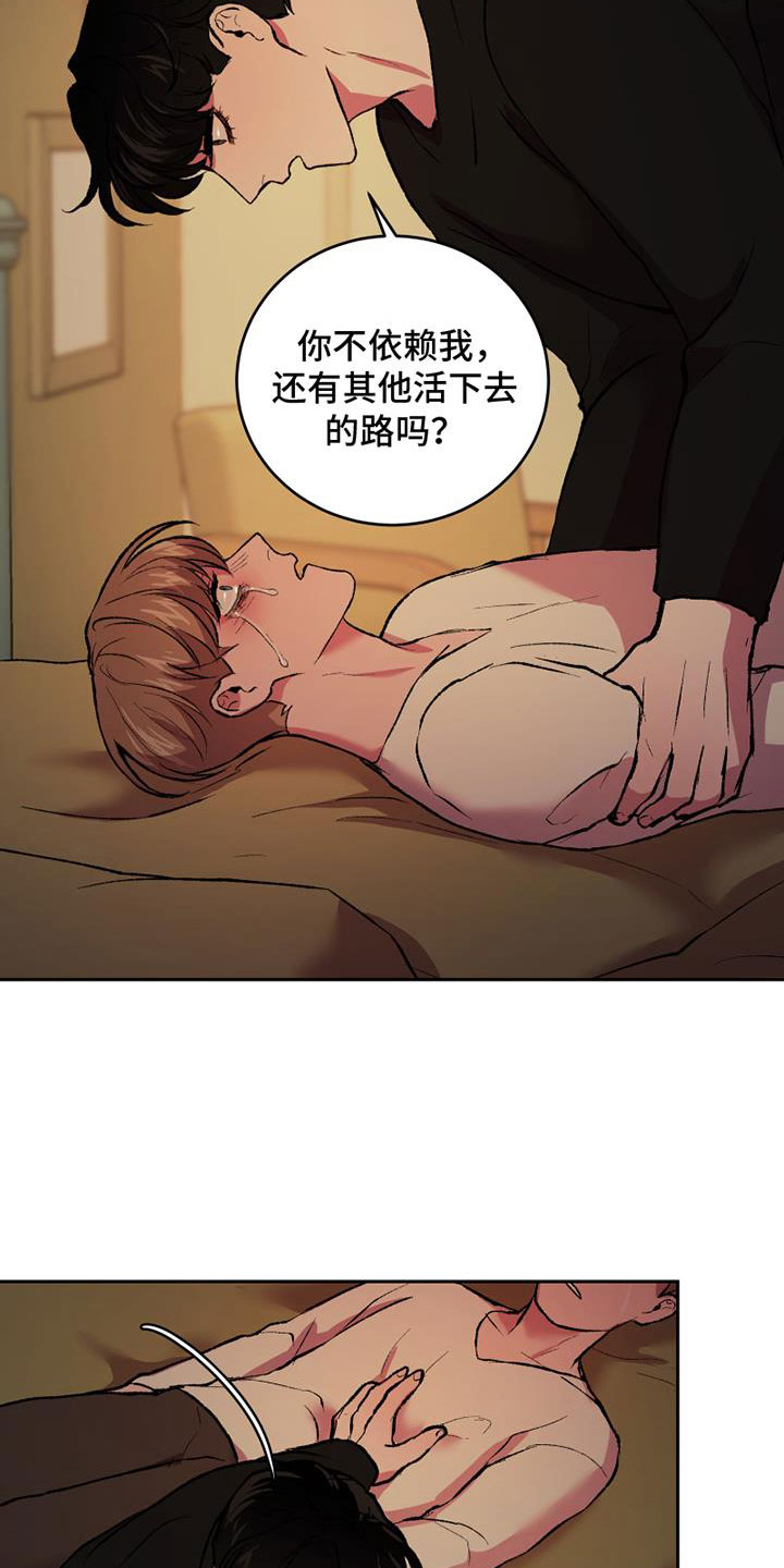 《致幻》漫画最新章节第14章：崩溃免费下拉式在线观看章节第【4】张图片