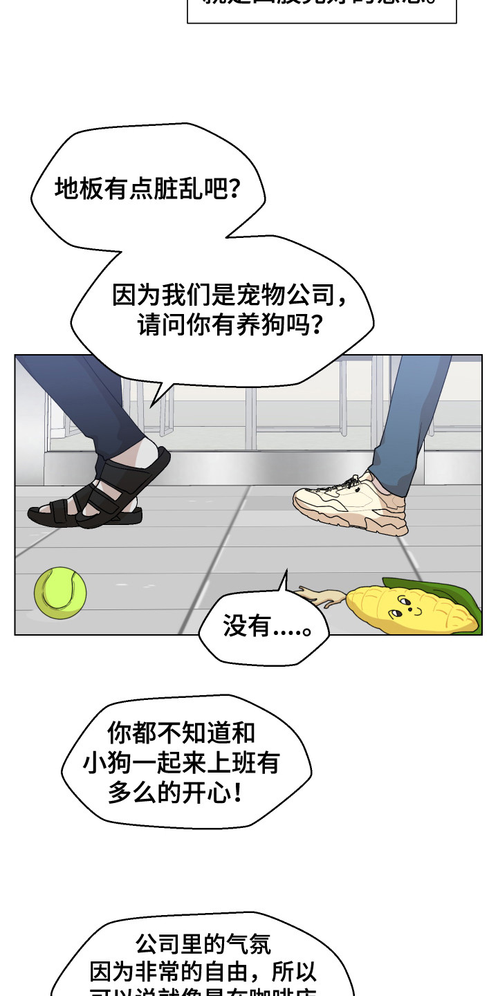 《荒唐的愿望》漫画最新章节第1章：一见钟情免费下拉式在线观看章节第【12】张图片