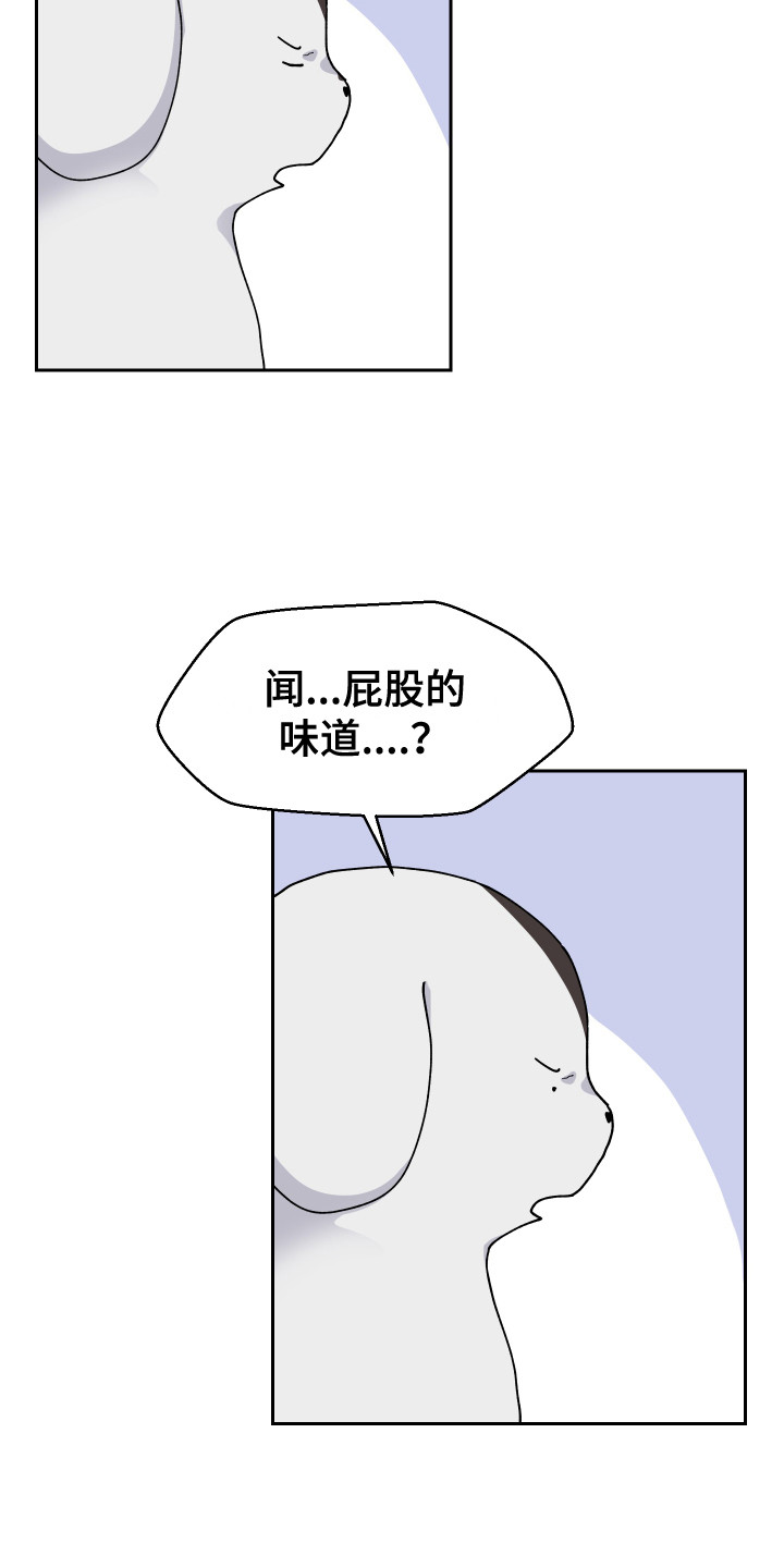 《荒唐的愿望》漫画最新章节第11章：异常举动免费下拉式在线观看章节第【5】张图片