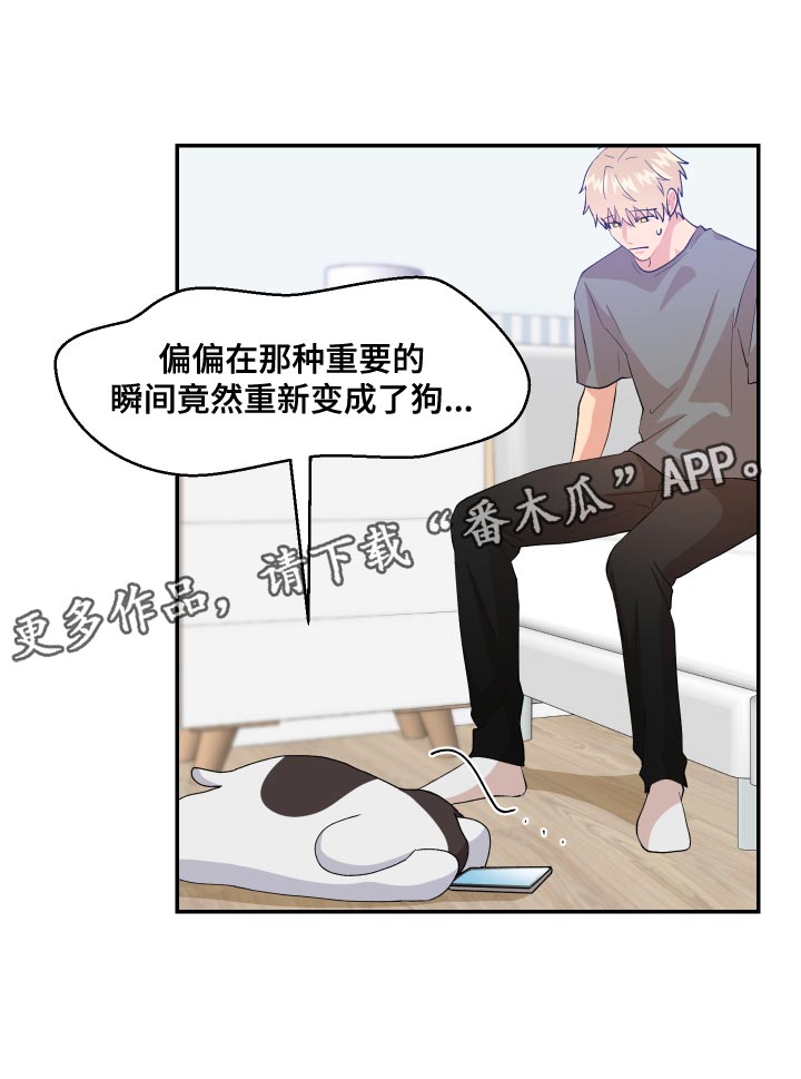 《荒唐的愿望》漫画最新章节第17章：尾巴免费下拉式在线观看章节第【1】张图片